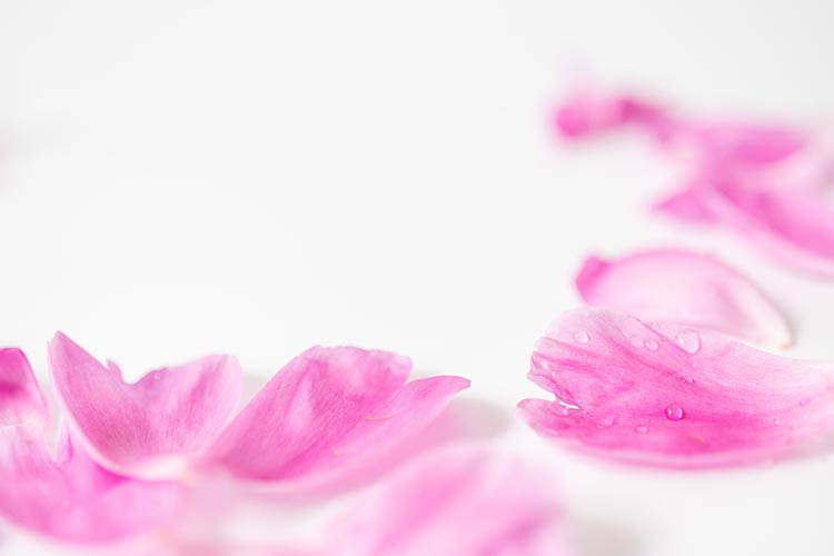 スライダー画像3