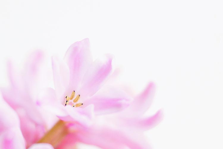 スライダー画像1