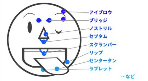 顔のピアスの穴開けができる部分