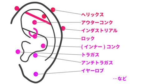 耳のピアスの穴開けができる部分